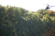 A thumbnail